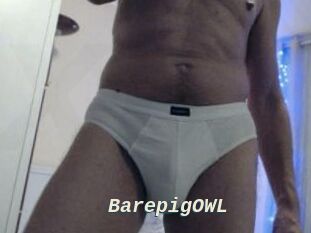 BarepigOWL