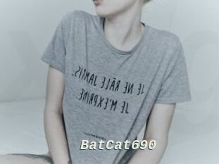 BatCat690