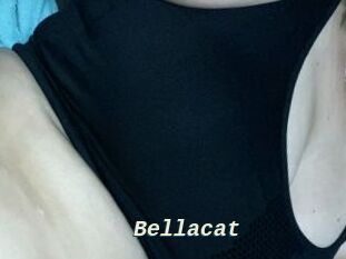 Bella_cat