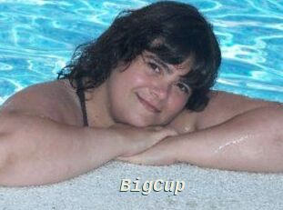 BigCup