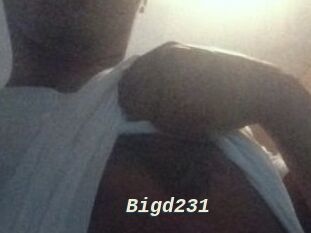 Bigd231