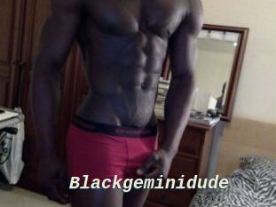 Blackgeminidude