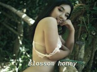 Blossom_honey
