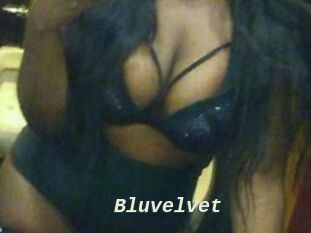 Bluvelvet