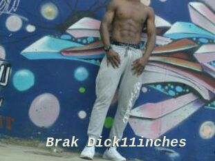 Brak_Dick11inches