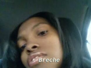 Breche