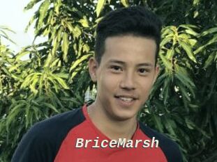 BriceMarsh