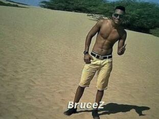 BruceZ