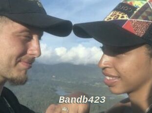Bandb423