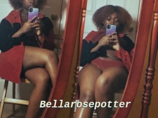Bellarosepotter