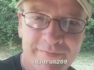 Bidrum209