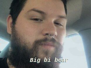 Big_bi_bear