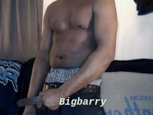 Bigbarry