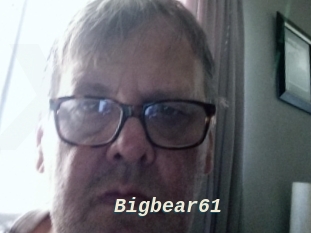 Bigbear61