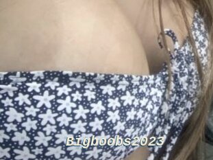 Bigboobs2023