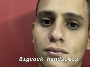 Bigcock_handsomes