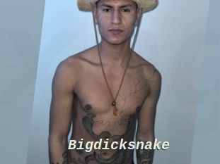 Bigdicksnake