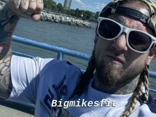 Bigmikesfit
