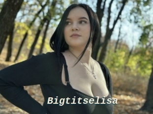 Bigtitselisa