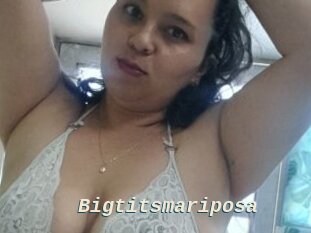 Bigtitsmariposa