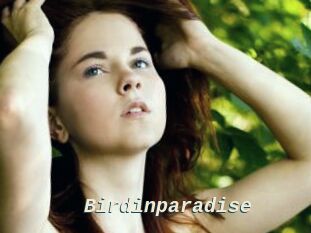 Birdinparadise