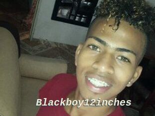 Blackboy12inches