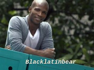 Blacklatinbear