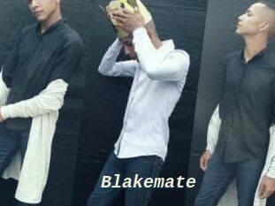 Blakemate