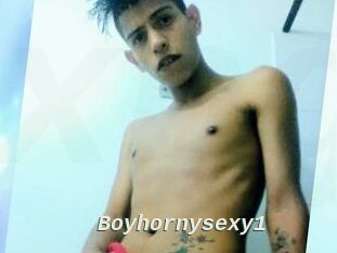 Boyhornysexy1