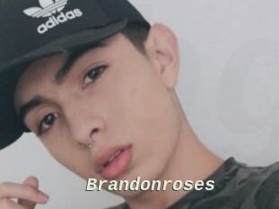 Brandonroses