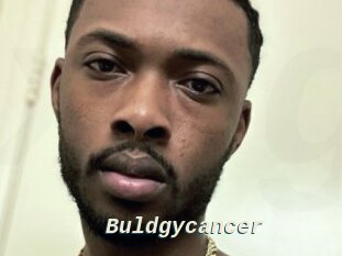 Buldgycancer