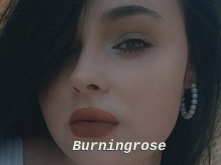 Burningrose