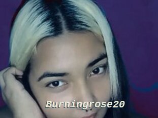 Burningrose20