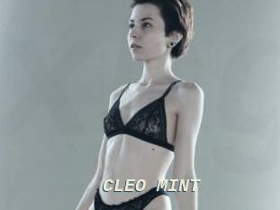 CLEO_MINT