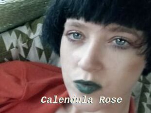Calendula_Rose