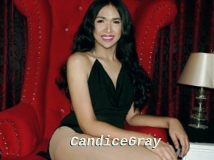 CandiceGray