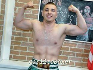 CarlitoBoxer