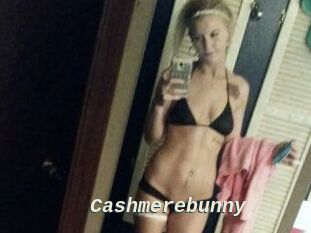 Cashmerebunny