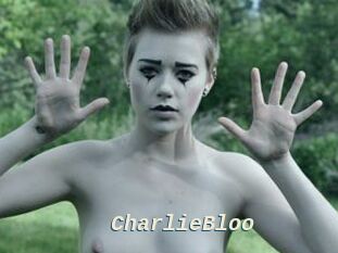 CharlieBloo