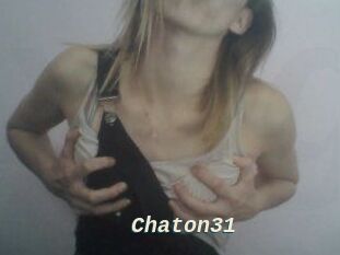 Chaton31