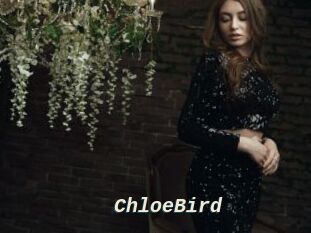 ChloeBird