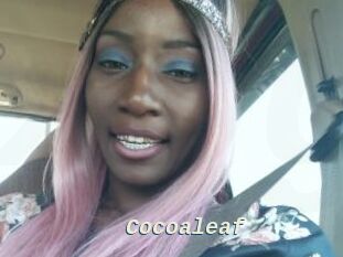 Cocoaleaf