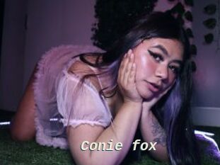 Conie_fox