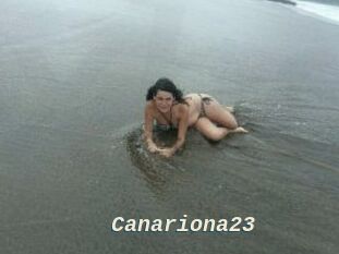 Canariona23