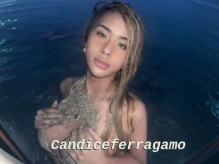 Candiceferragamo