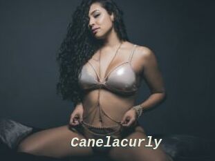 Canelacurly