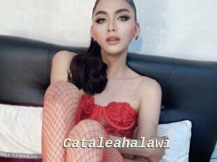 Cataleahalawi