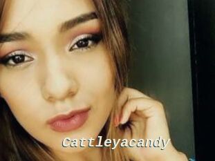 Cattleyacandy