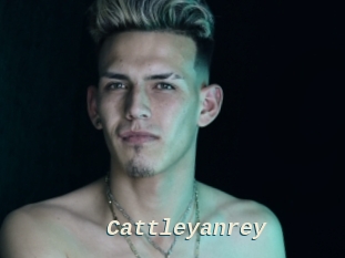 Cattleyanrey