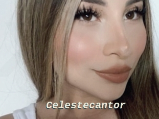 Celestecantor
